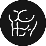 Muscle Pump and Vascularity